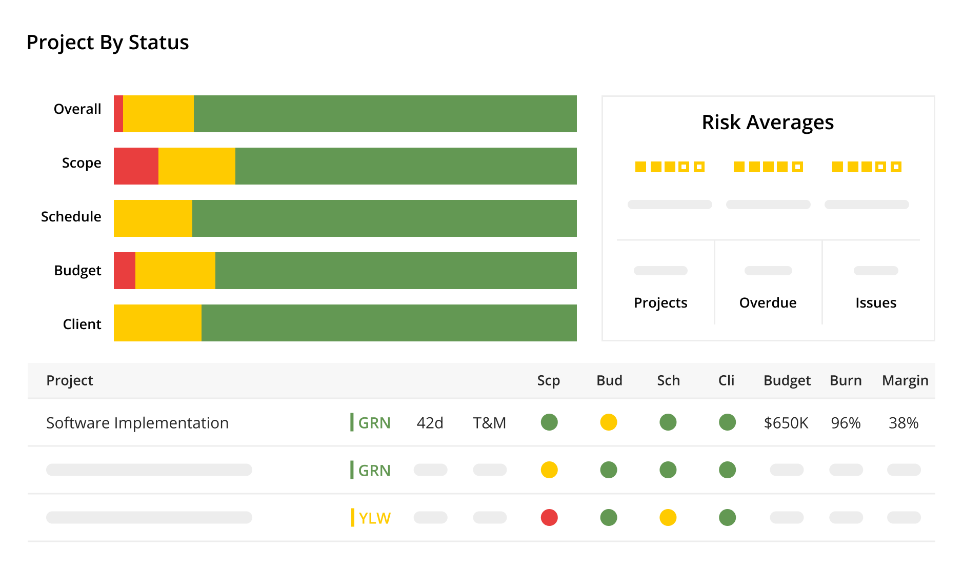 Project and Portfolio Health